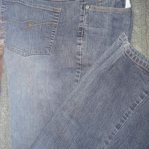 Ashley Stewart Flare Leg Blue Jeans